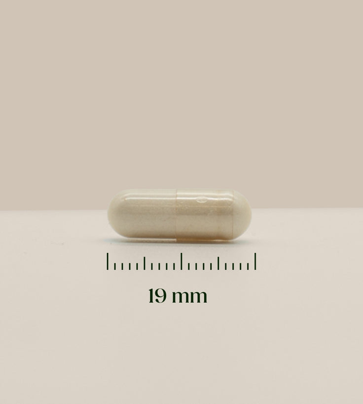 Hairgivers Biotin Supplement 1000 mcg | 60 Kapseln (Vitamin B7)