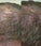Neofollics Shampoo + Conditioner Kombi-Packung (250 ml) - Hairgivers