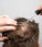 Scandinavian Biolabs Serum für Männer (100 ml) - Hairgivers