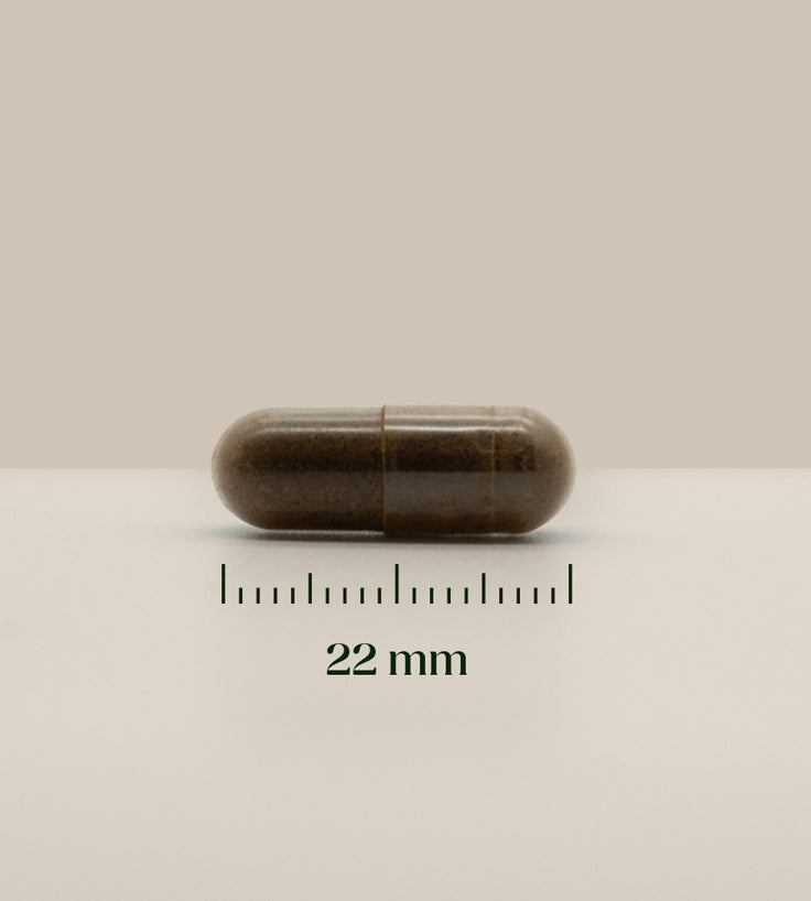 Hairgivers Ashwagandha Supplement 500 mg | 60 Kapseln (Vegan)