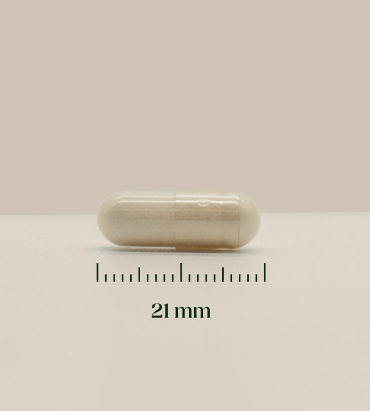 Hairgivers NAC Supplement 600 mg | 240 Kapseln (N-Acetyl-L-Cystein)