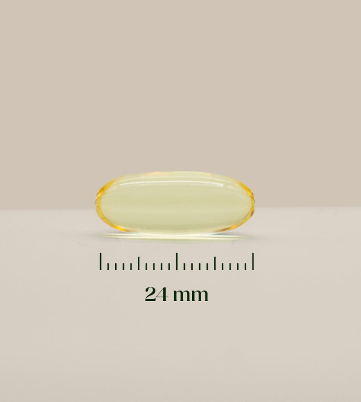 Hairgivers Omega 3 Supplement 1000 mg | 60 Kapseln (EPA/DHA)